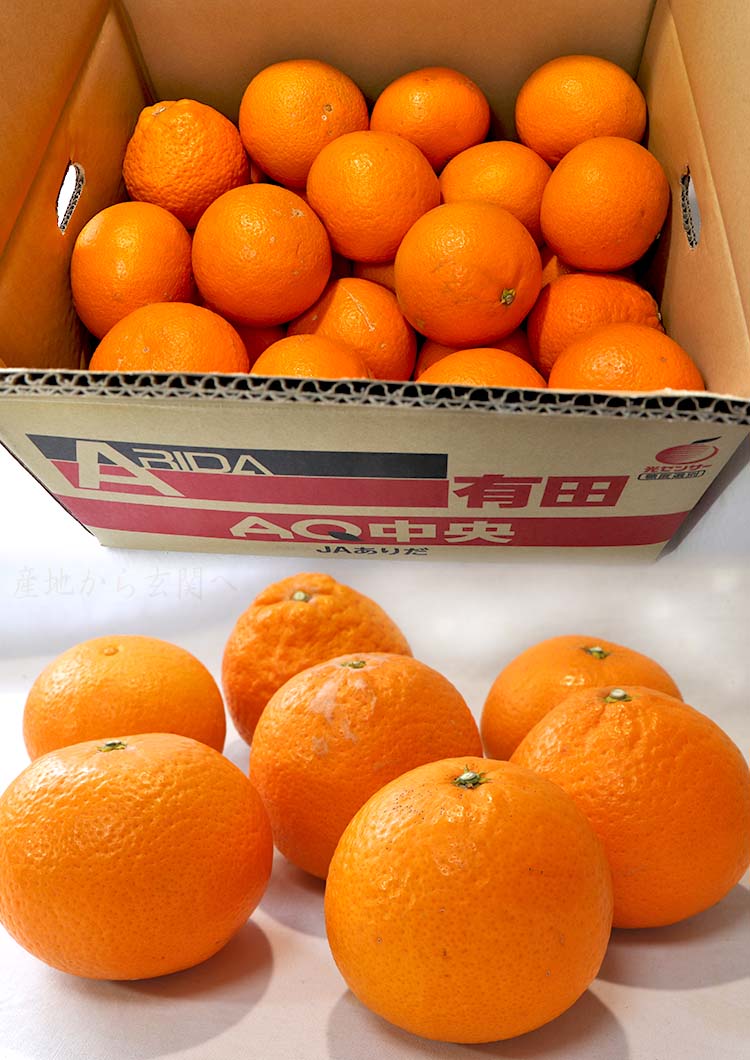 AQ選果場 きよみ