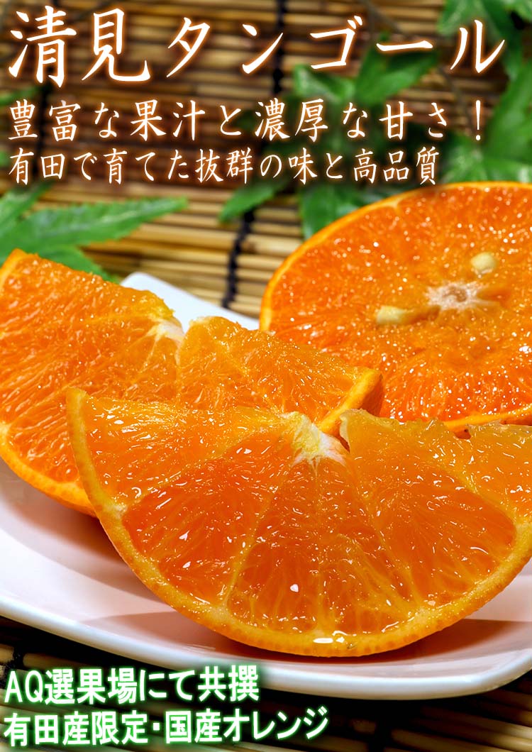 清見 タンゴール