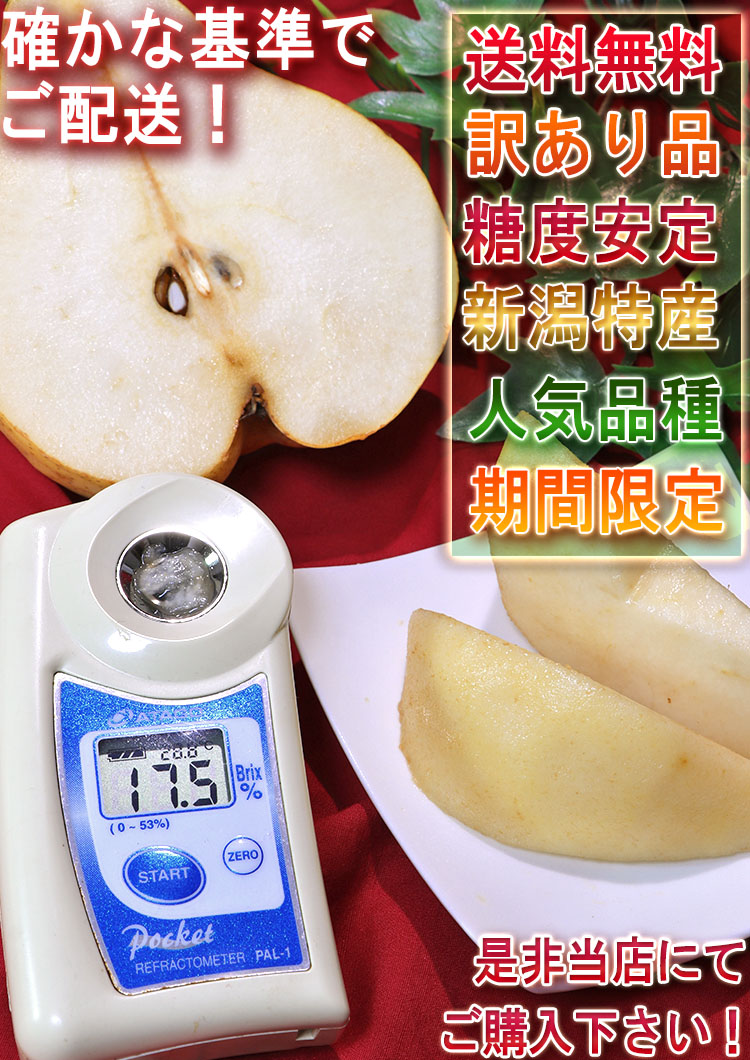 家庭用 くだもの