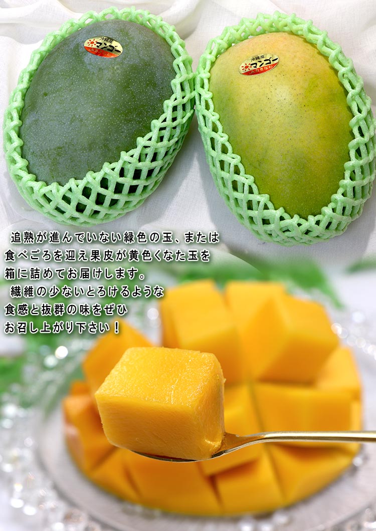 キーツマンゴー 熟成