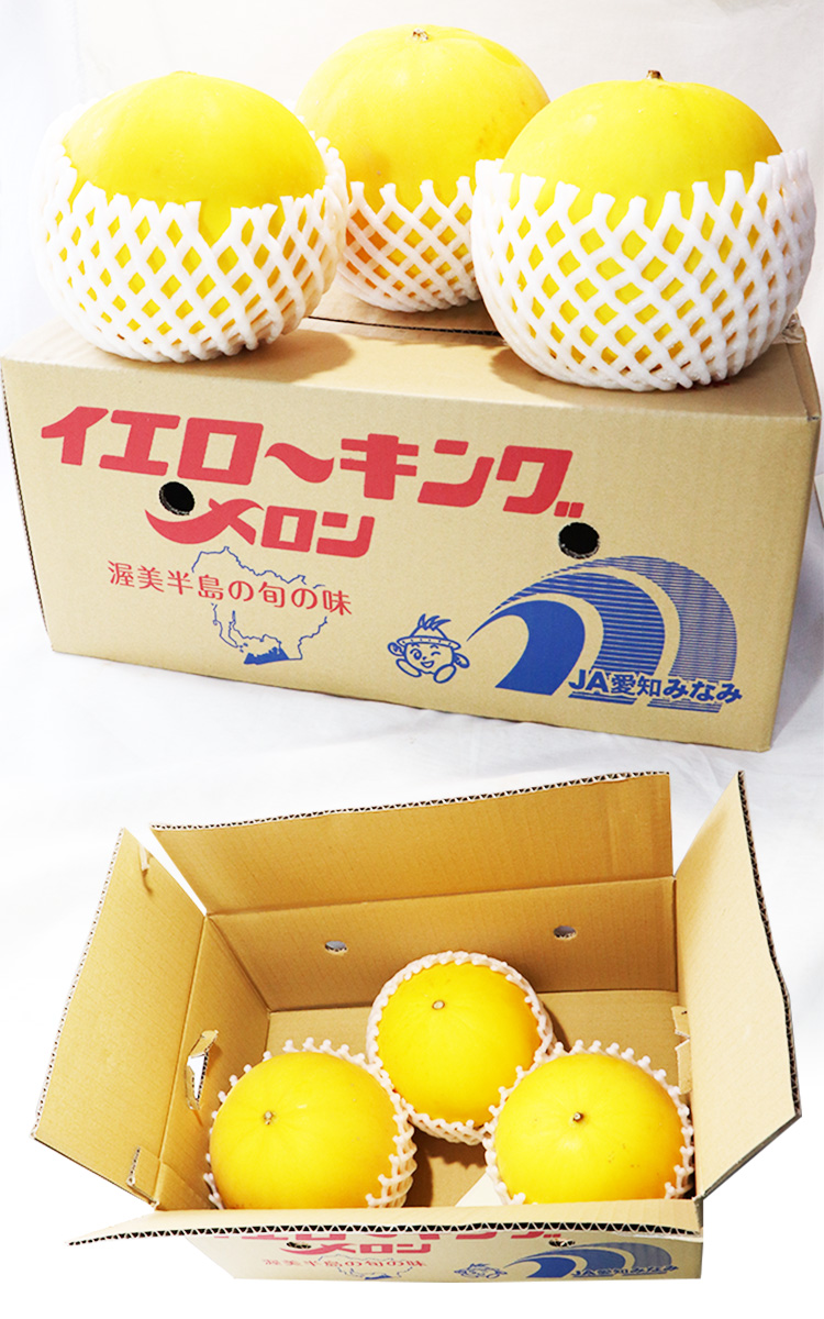 ホームランメロン 熊本