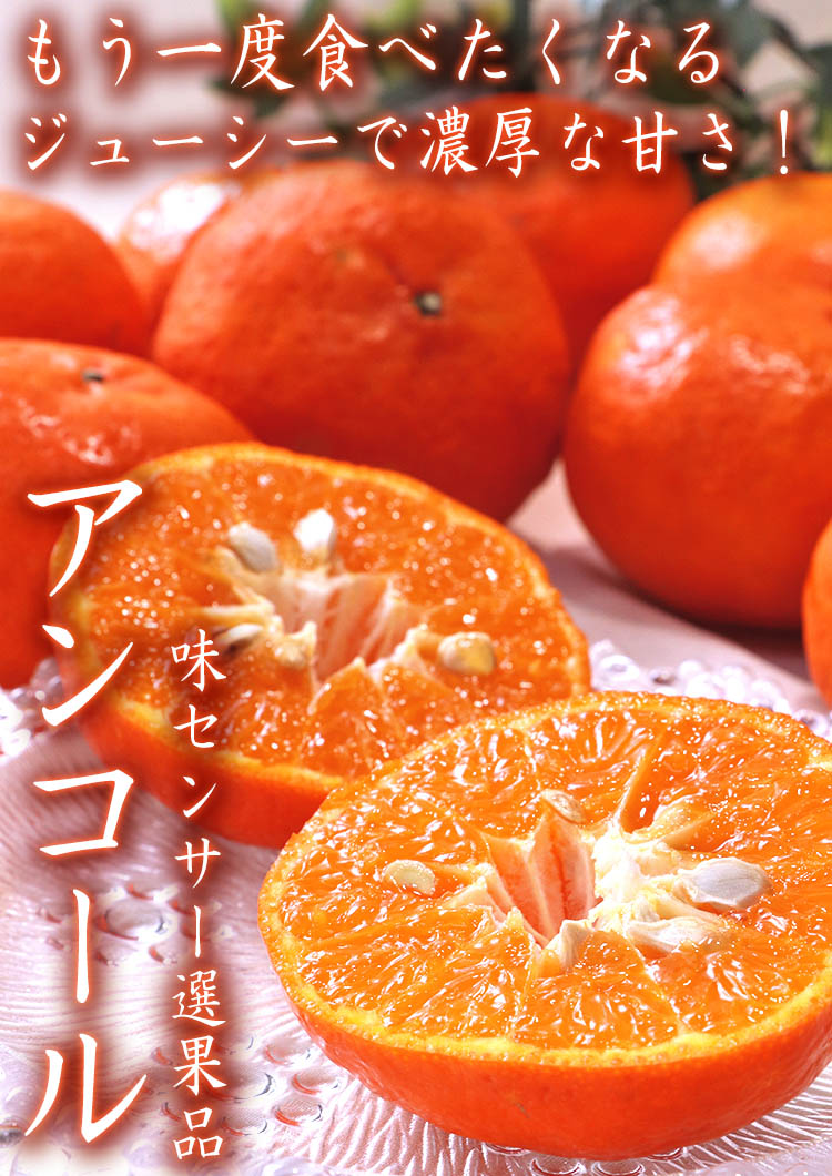 アンコール オレンジ
