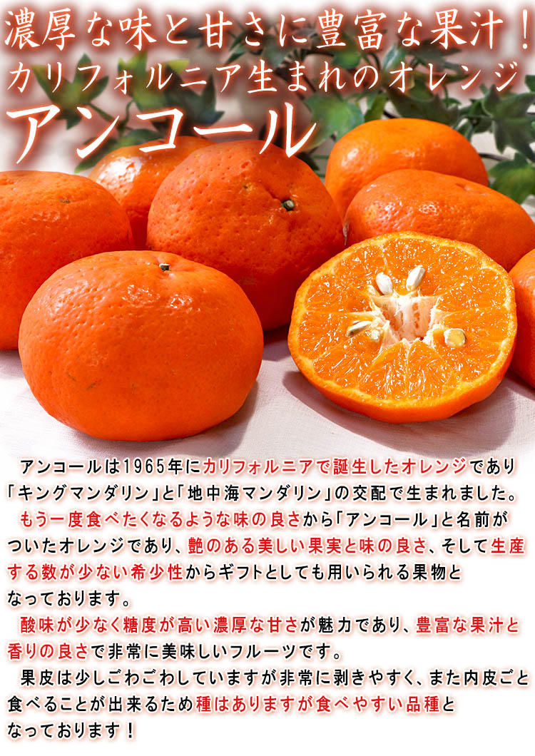 フルーツ アンコール