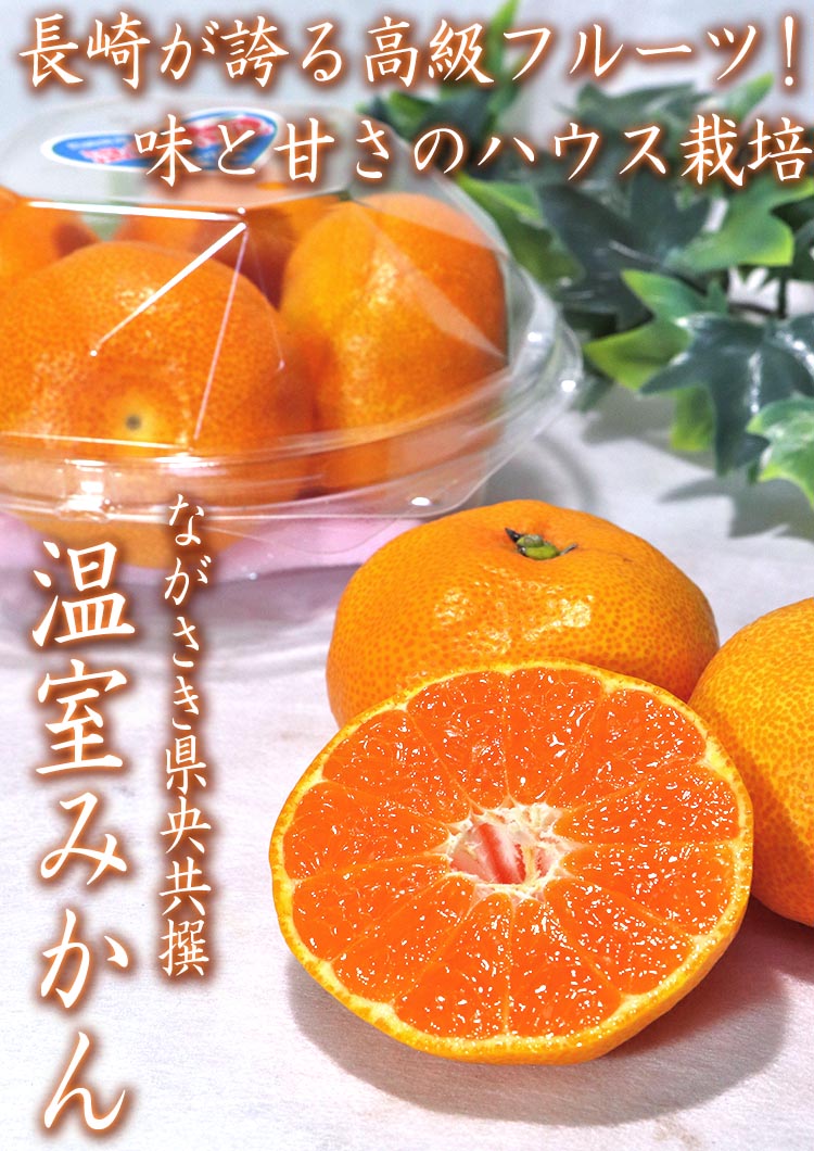 ハウス蜜柑 ながさき