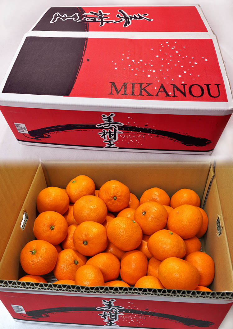 愛媛 ミカン