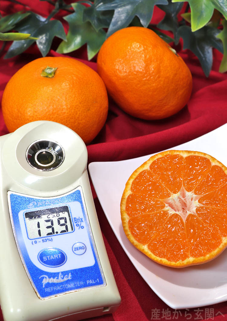 お歳暮 フルーツ