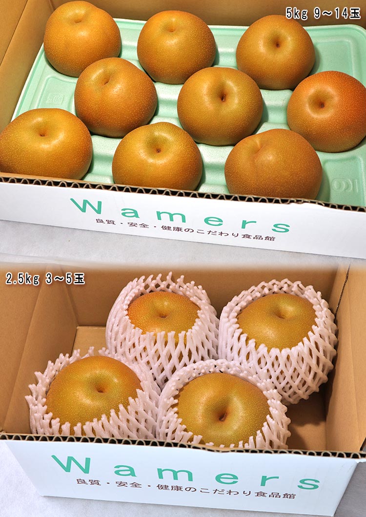 豊水 果物