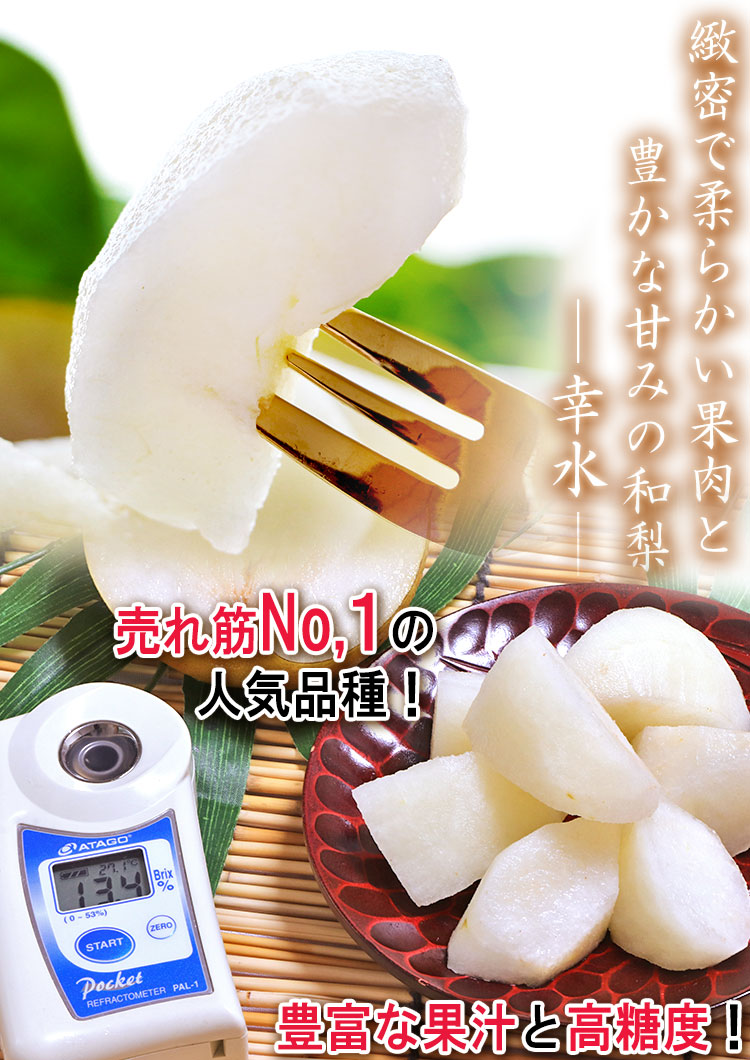 幸水 千葉