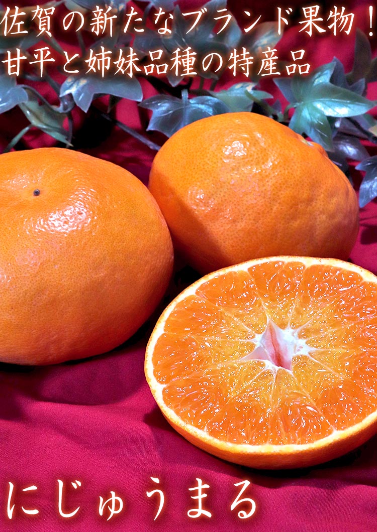 にじゅうまる フルーツ