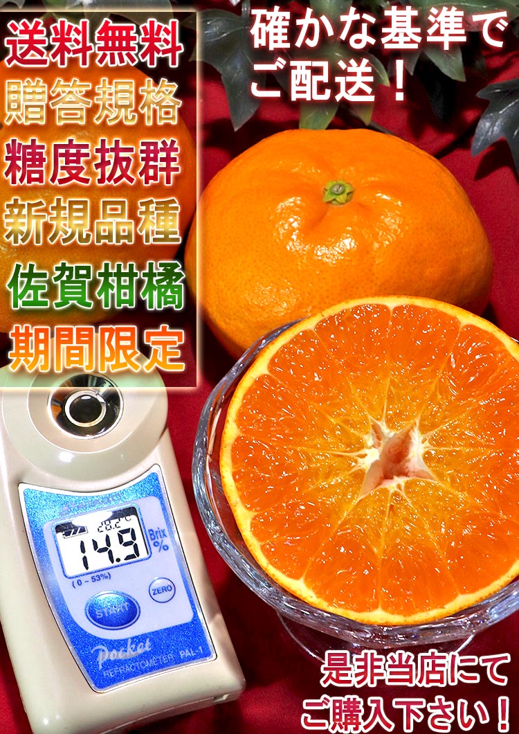 にじゅうまる オレンジ