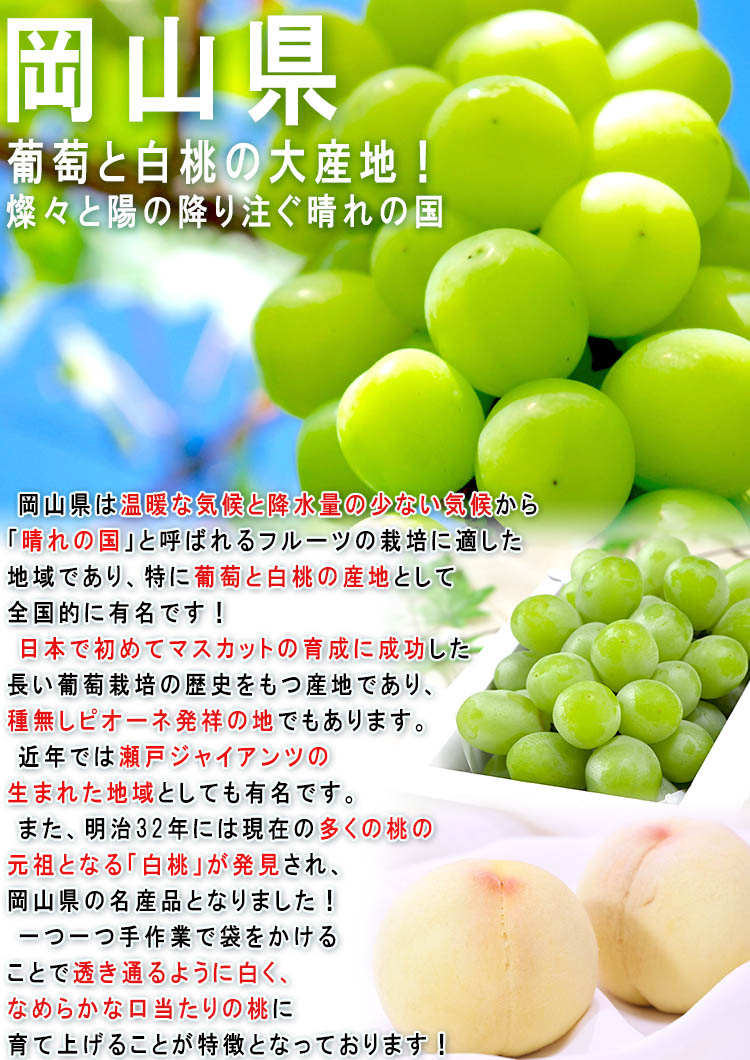 岡山 ぶどう