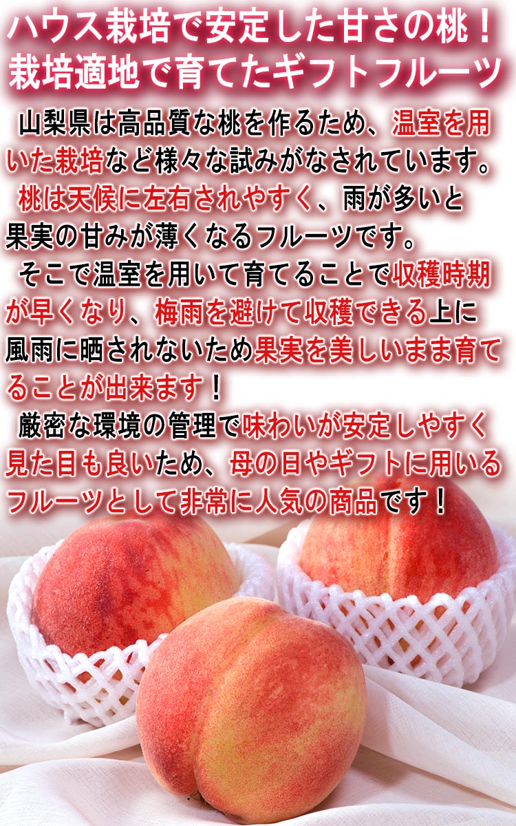 果物 贈答