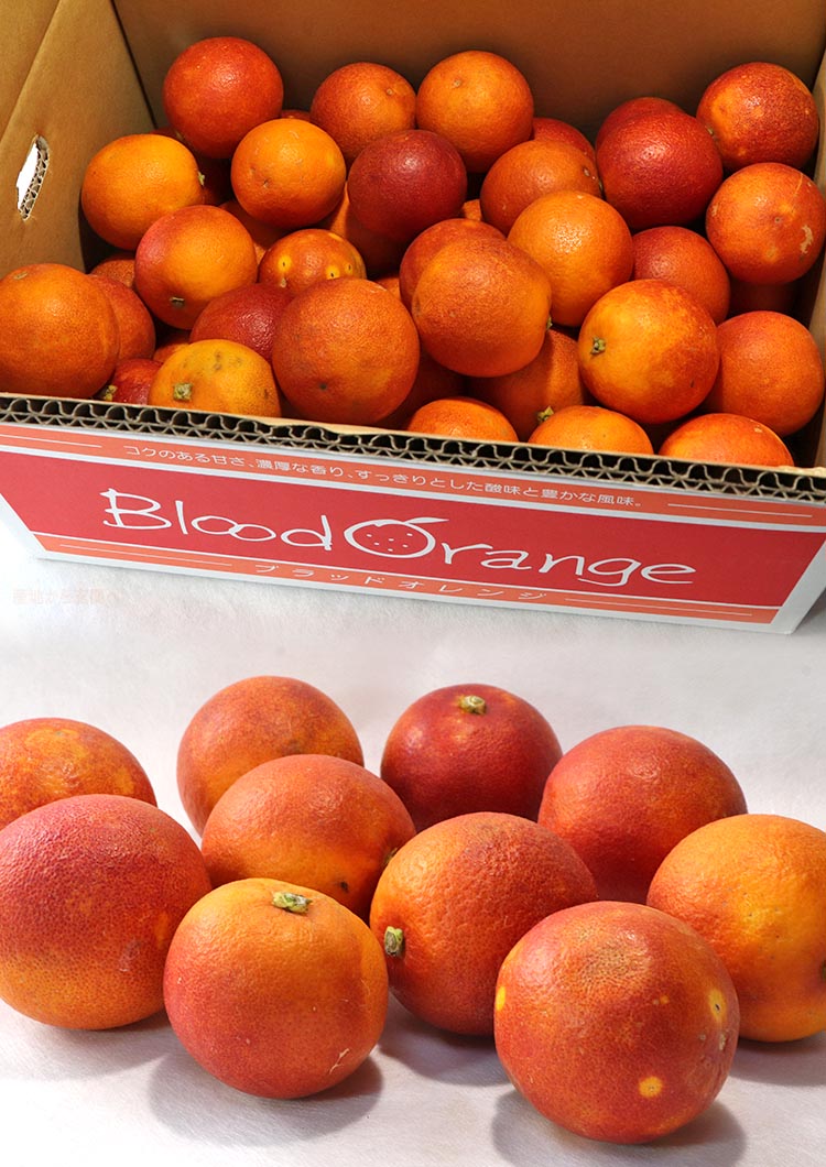 ギフト オレンジ