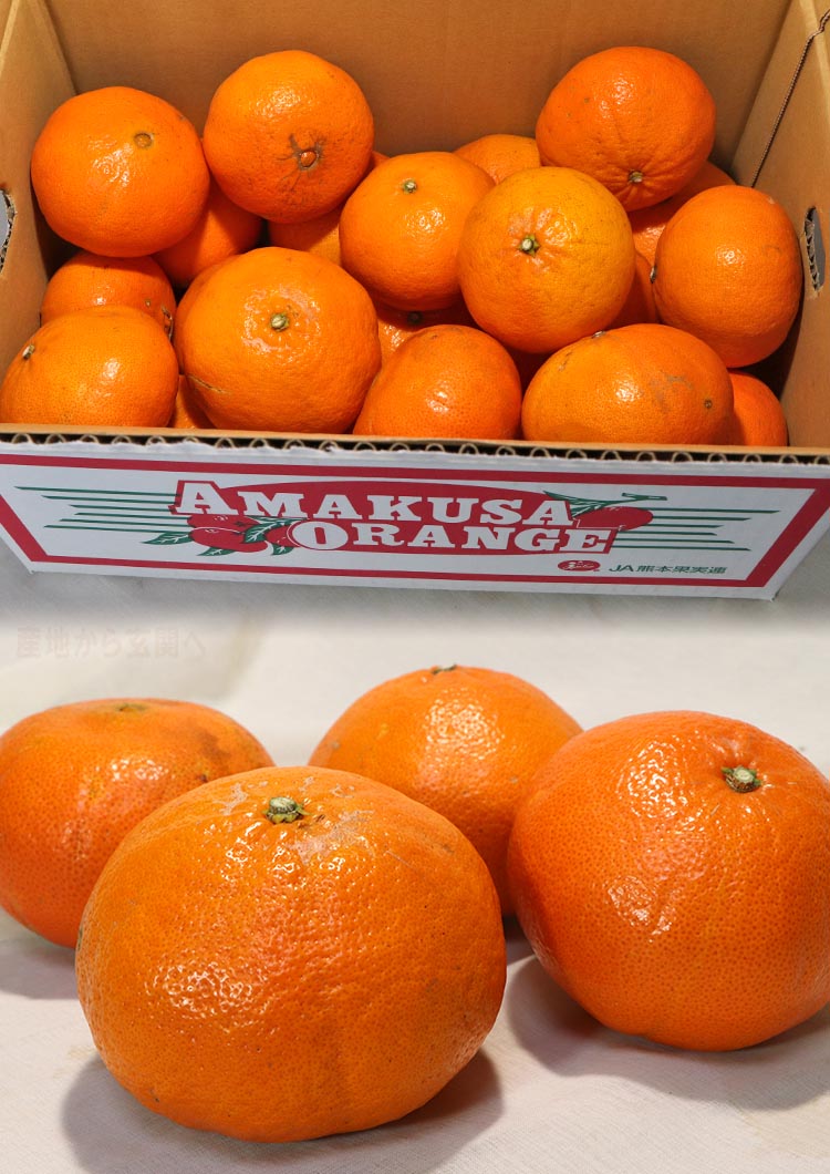 みはや オレンジ