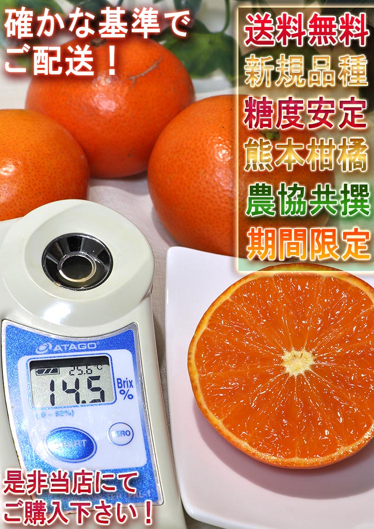 みはやオレンジ 特産