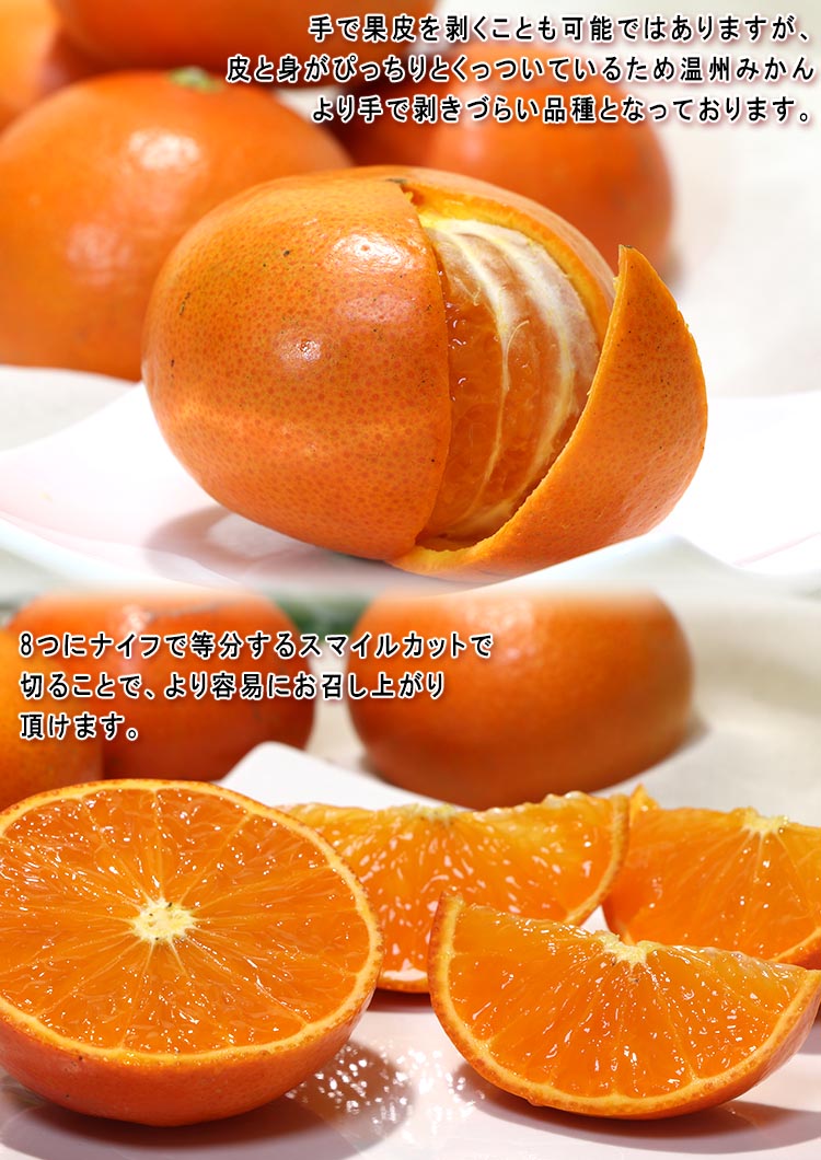 フルーツ オレンジ