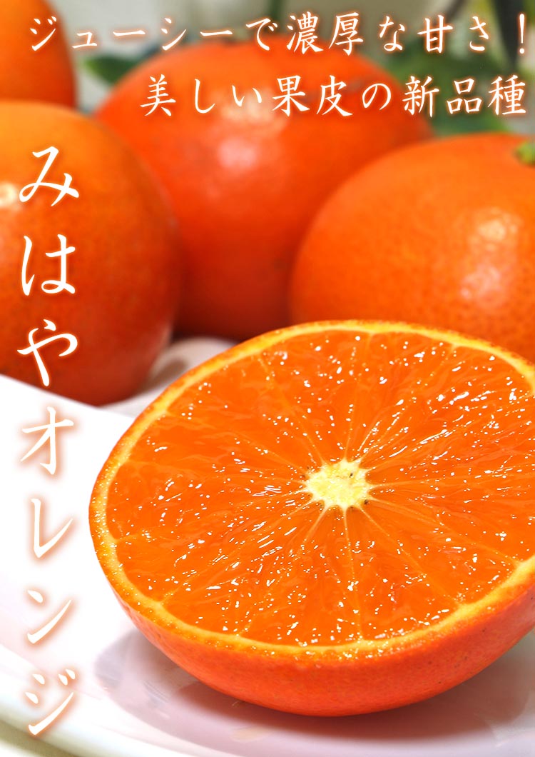 みはやオレンジ 熊本