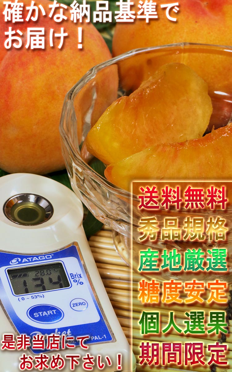 山梨 贈答