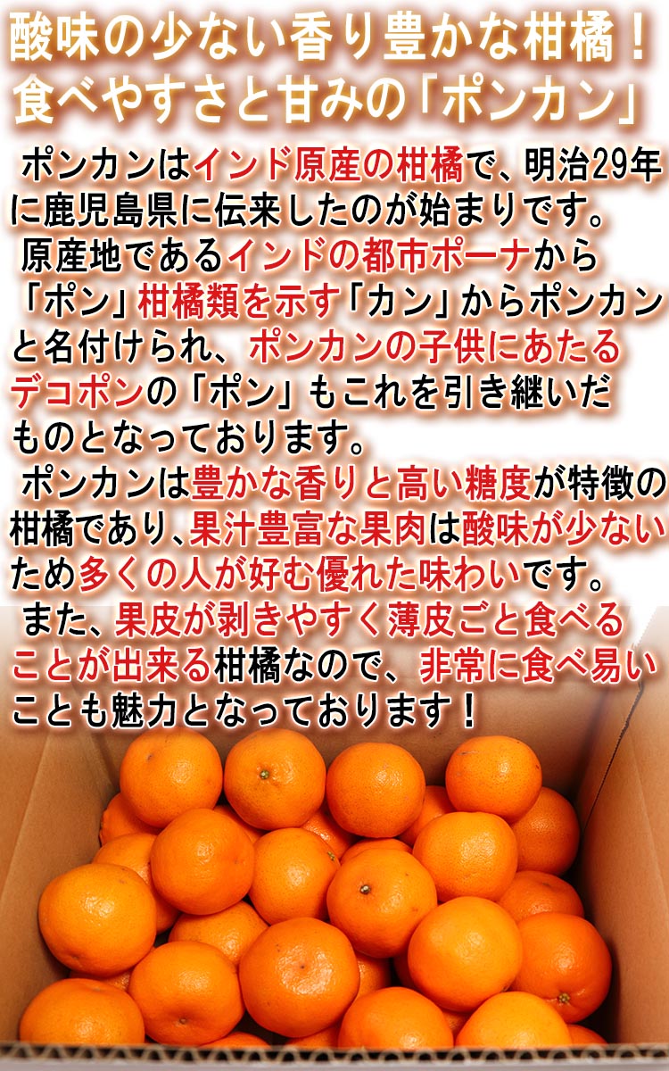 ポンカン 果物