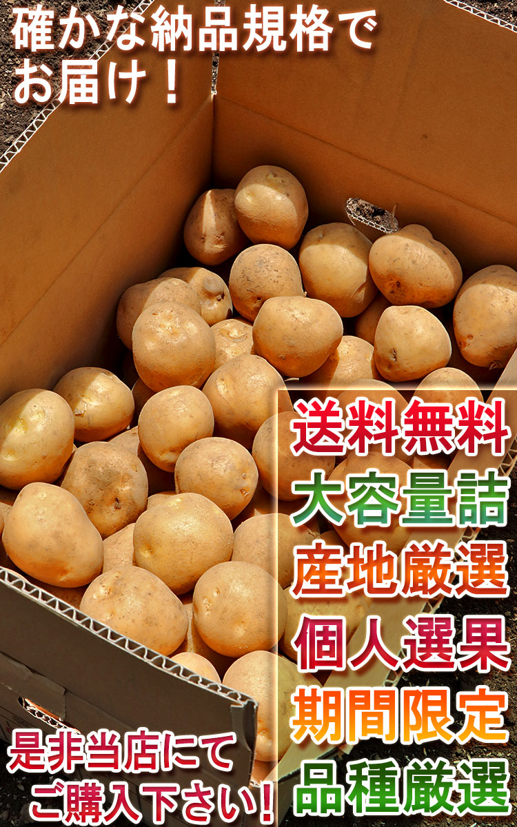 大容量 野菜