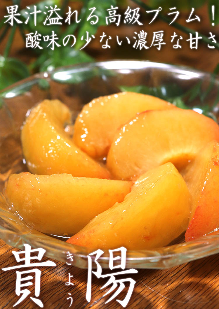貴陽 プラム