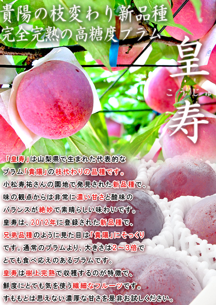 果物 やまなし