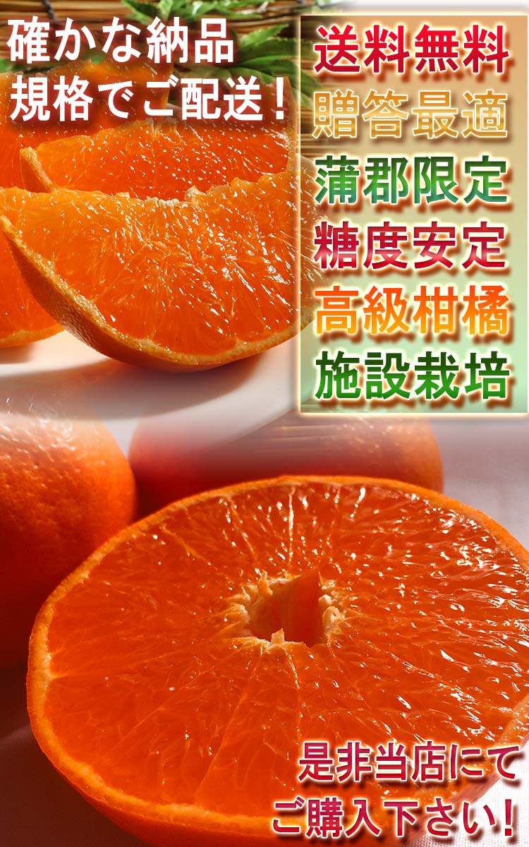 タンゴール 麗紅