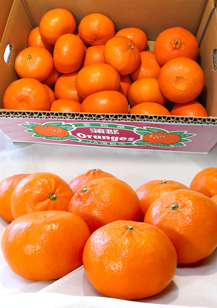 ギフト フルーツ