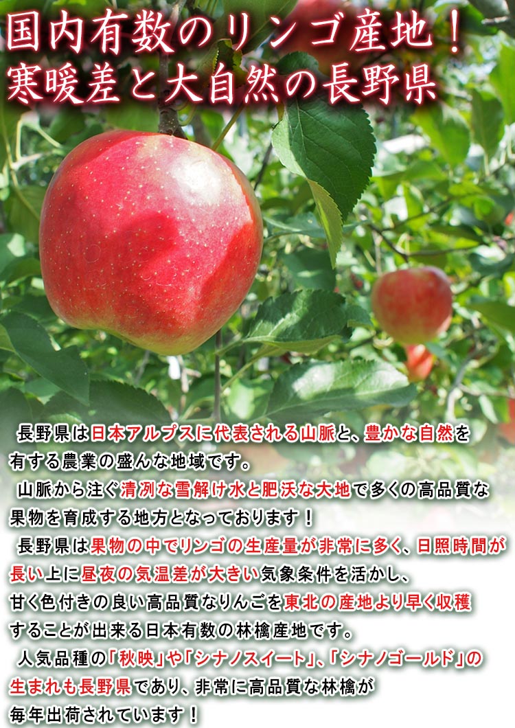 長野県 フルーツ