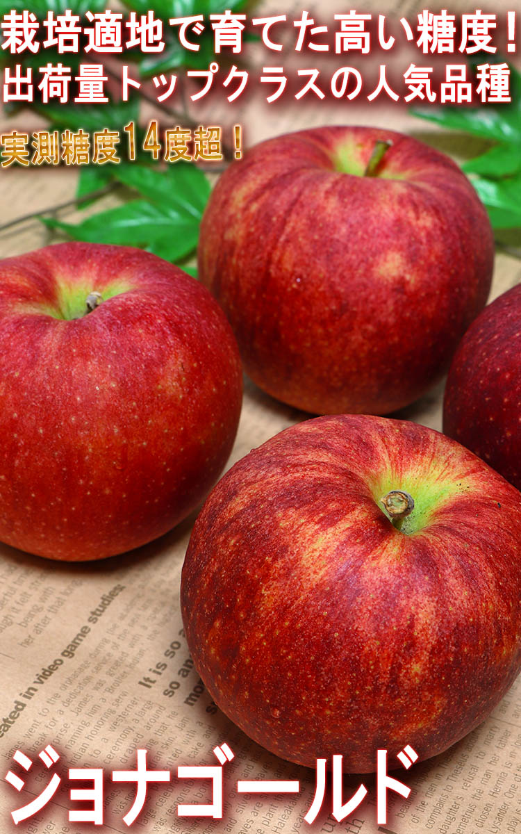 ジョナゴールド りんご