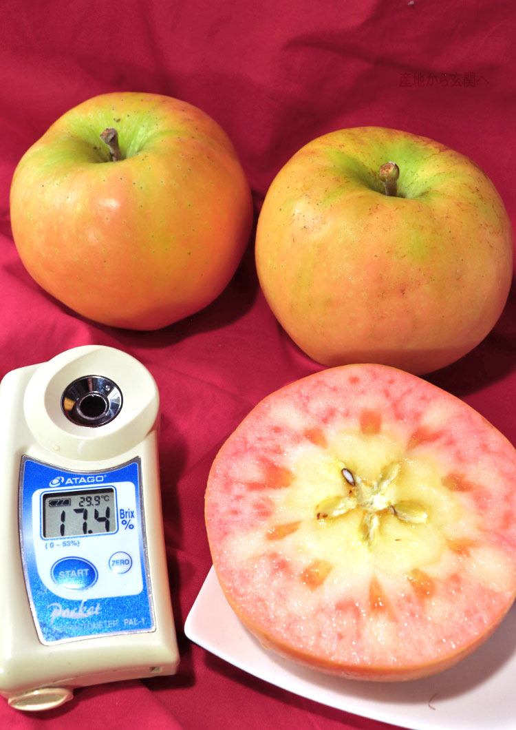 果物 林檎