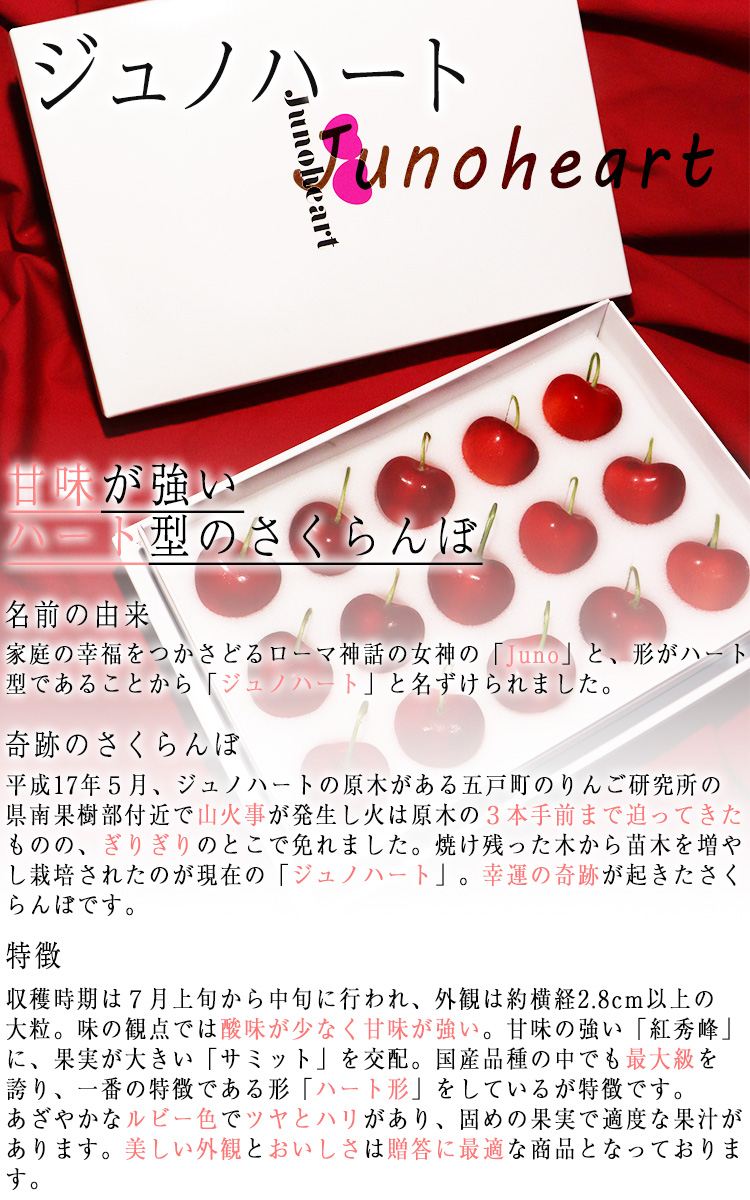フルーツ サクランボ
