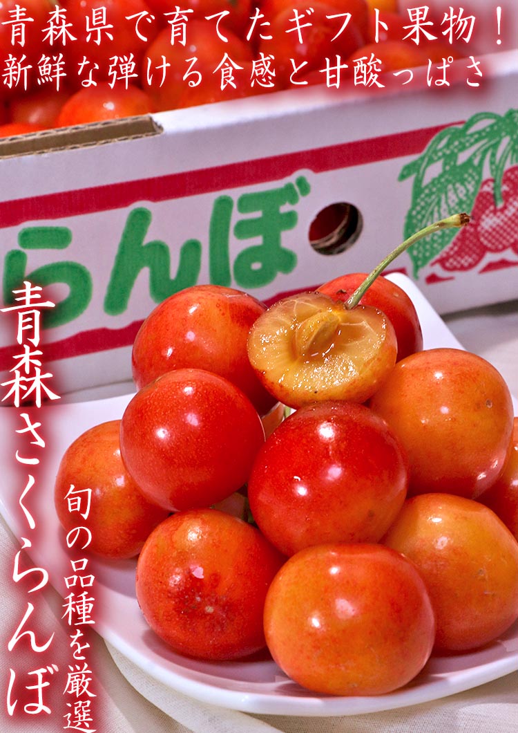 紅秀峰 さくらんぼ