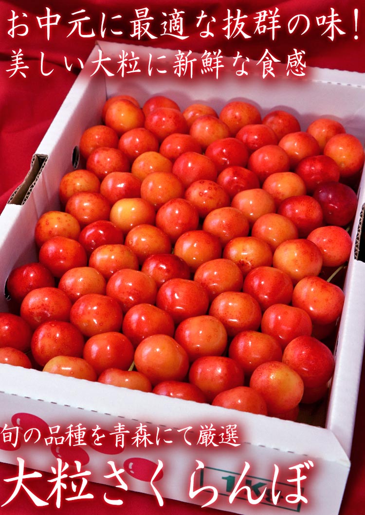 さくらんぼ 青森