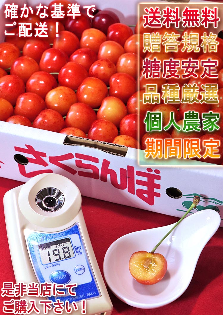 ギフト 果物