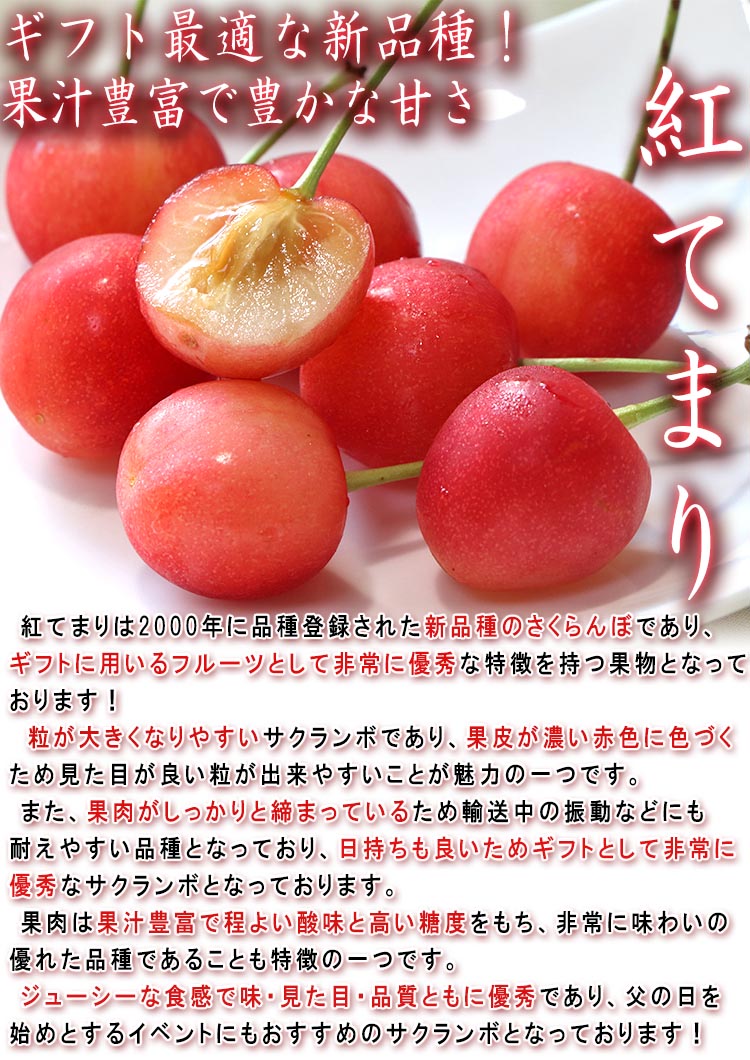 紅てまり サクランボ