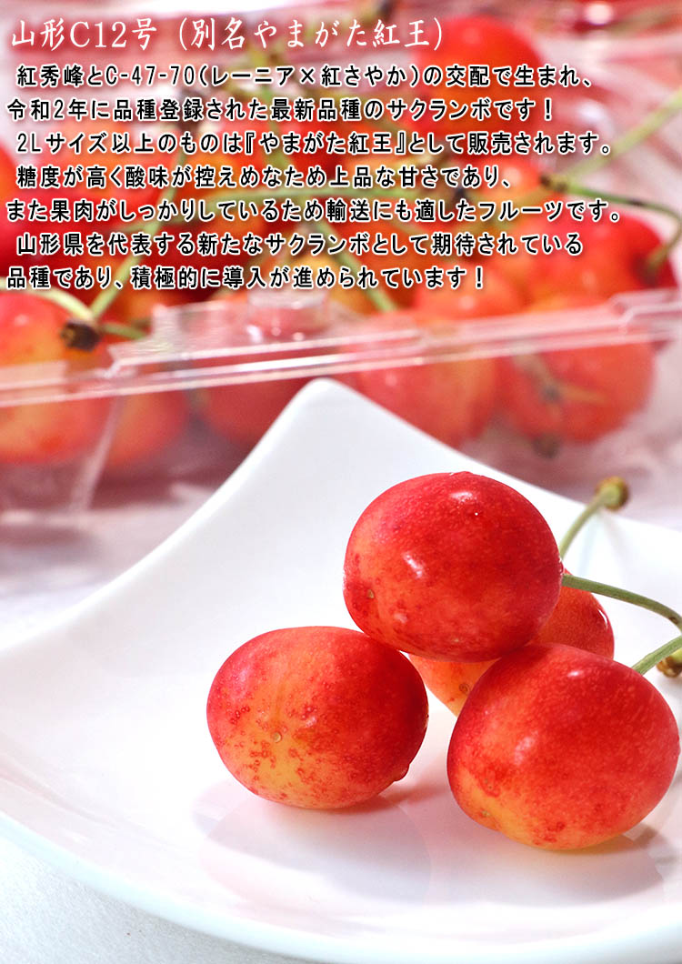 フルーツ 旬