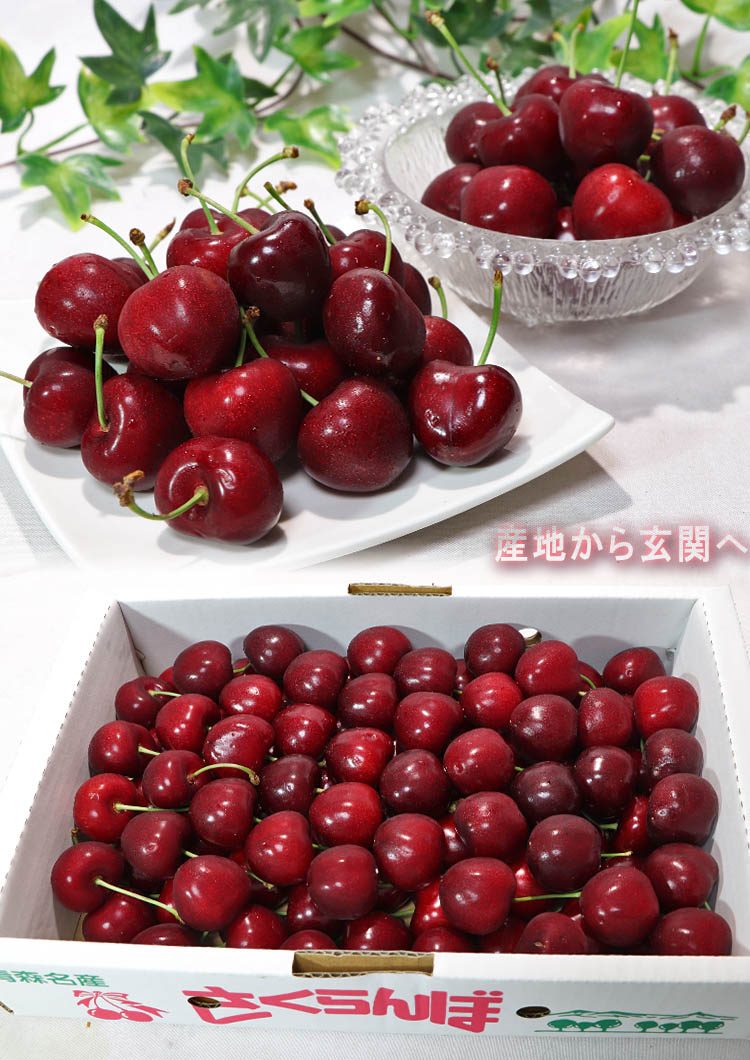 べにしゅうほう 果物