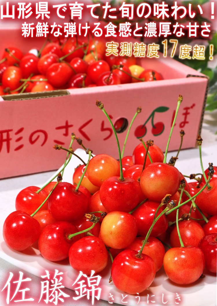 さくらんぼ 佐藤錦