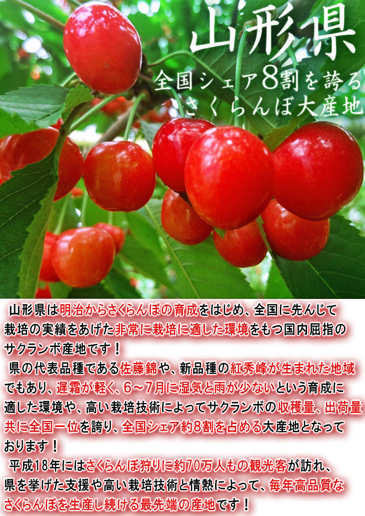 山形 フルーツ