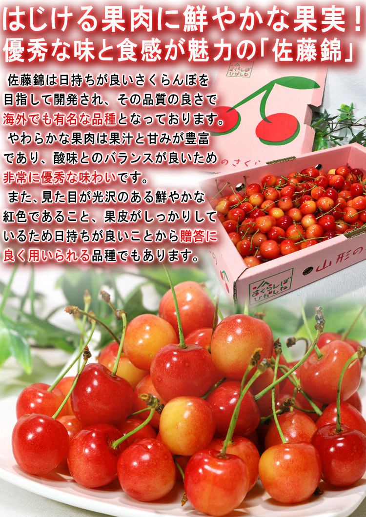 紅秀峰 さくらんぼ