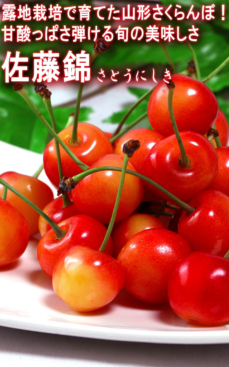 佐藤錦 訳あり
