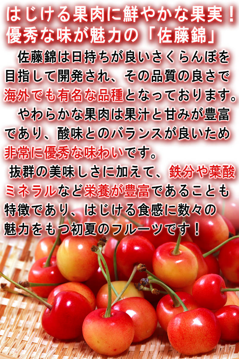 サクランボ 山形県