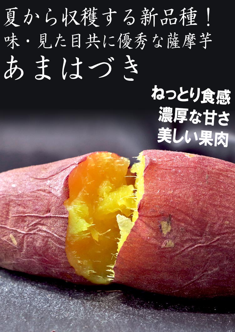あまはづき サツマイモ