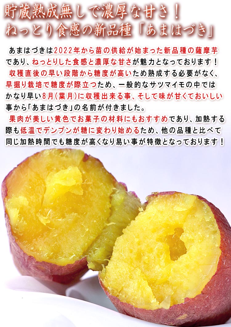 千葉 さつまいも