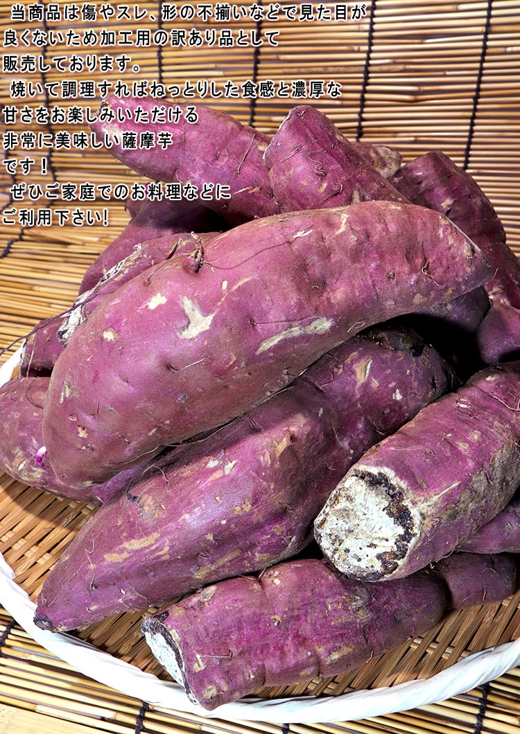 薩摩芋 訳あり品