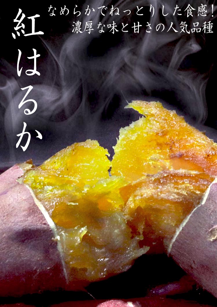 紅はるか サツマイモ