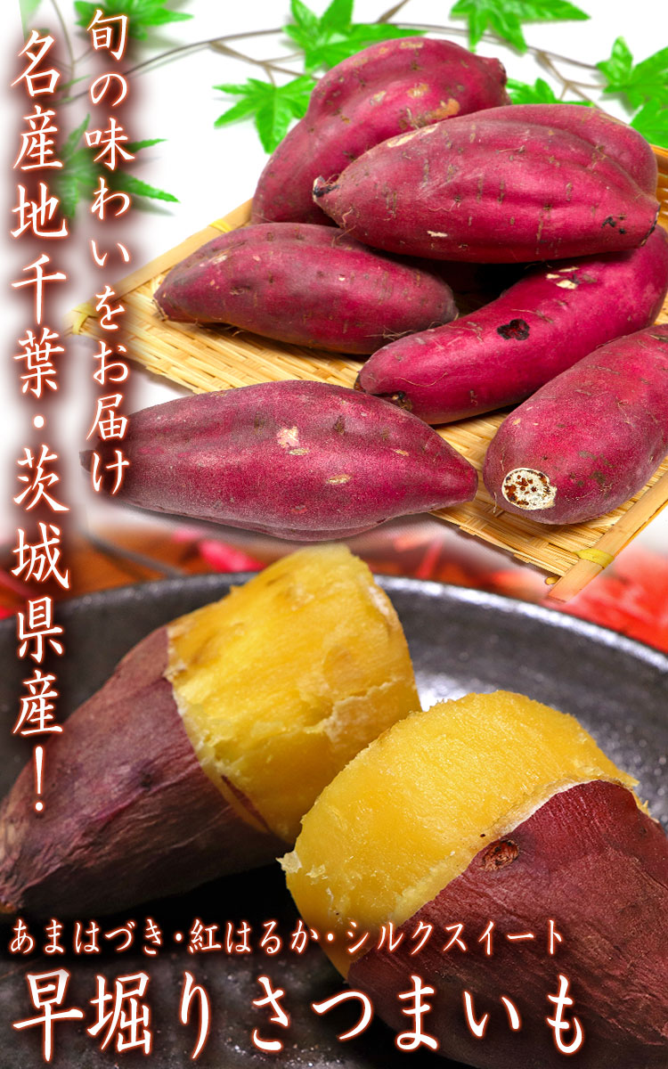早堀り さつまいも
