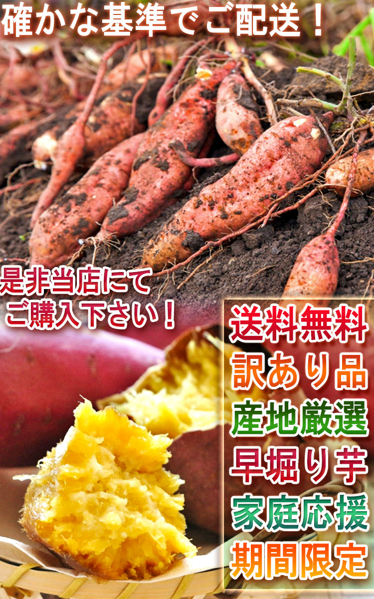 早堀りサツマイモ