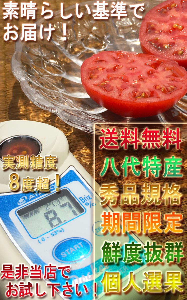 塩トマト フルーツトマト